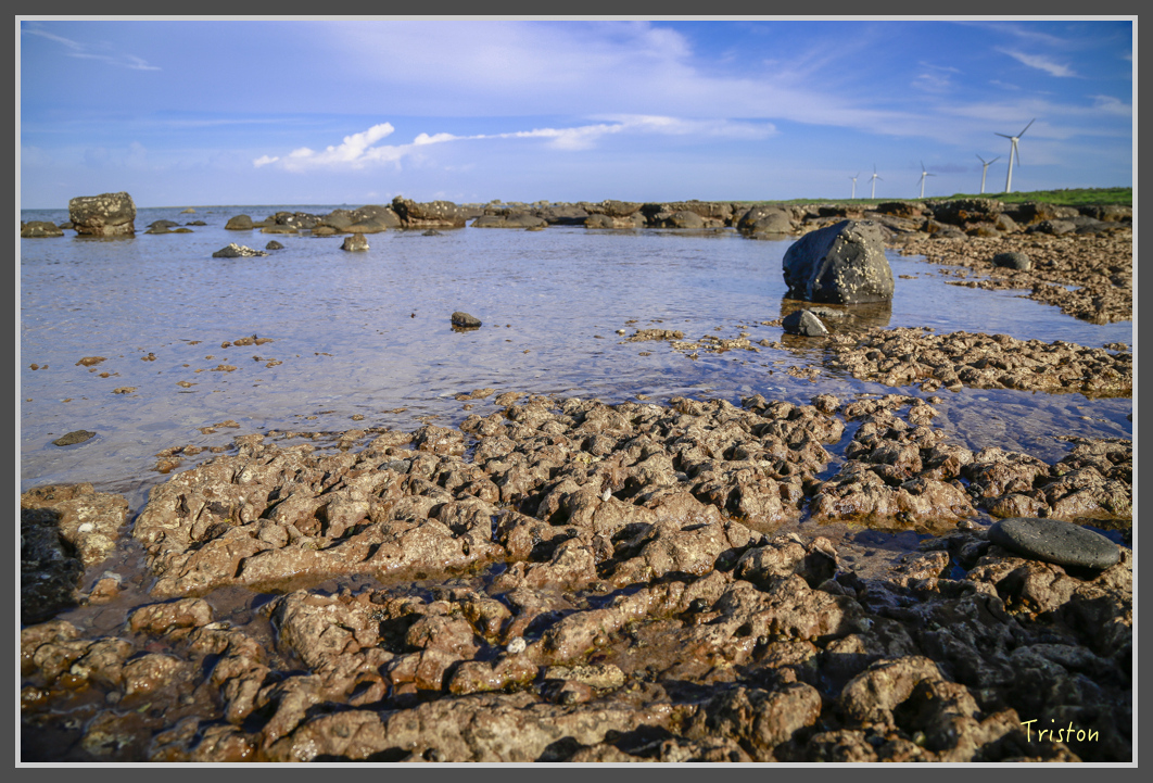 _H1A0287.jpg - 20160701 澎湖