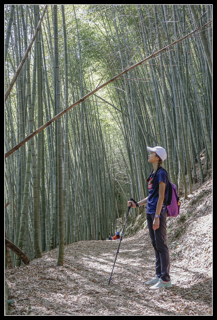 _MG_0040.jpg - 20170408 瑞太古道