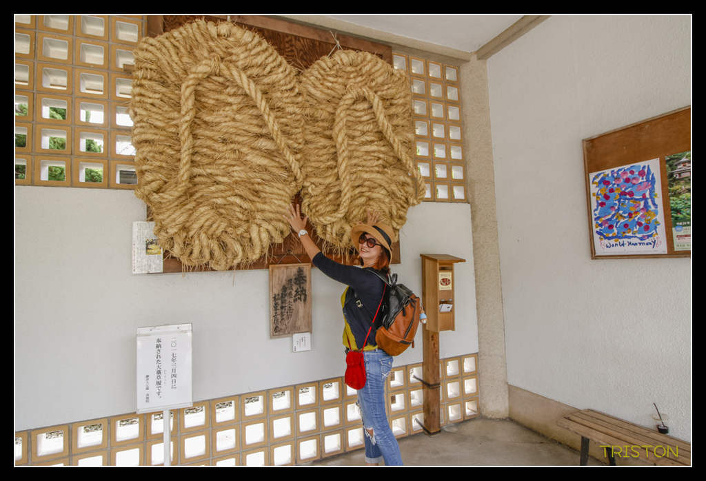 _MG_1417.jpg - 20170702 靜岡東海道之旅