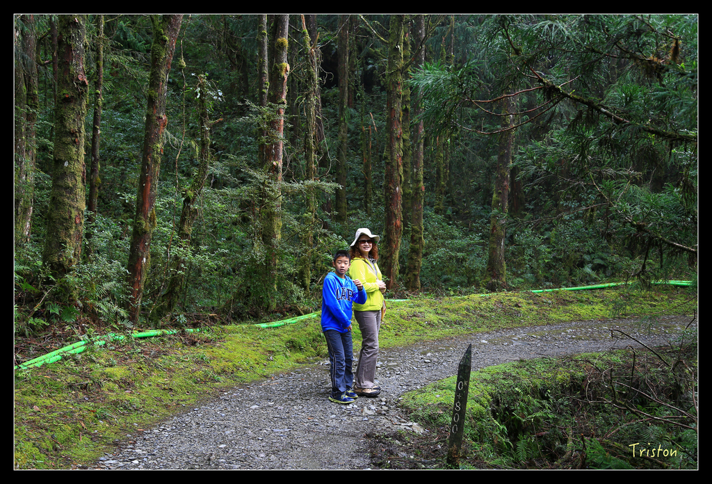 JH1A0119.jpg - 20151024~25 幾米公園、翠峰湖、翠峰山屋、望洋山步道、山毛櫸步道