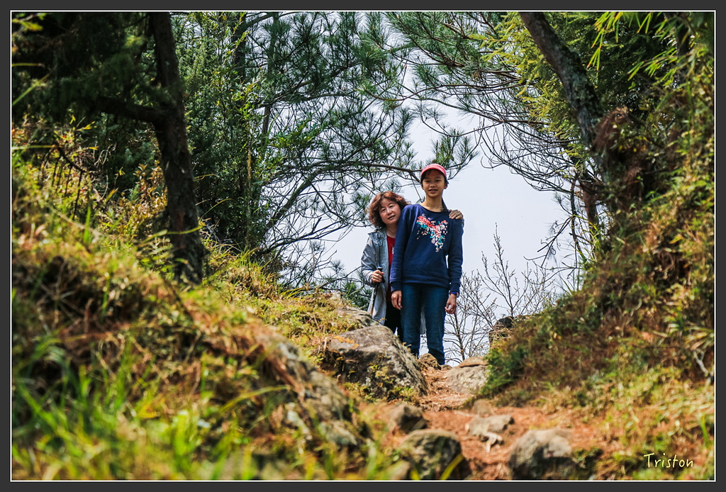 IMG_6240.jpg - 20160402 鹿林麟趾東埔山
