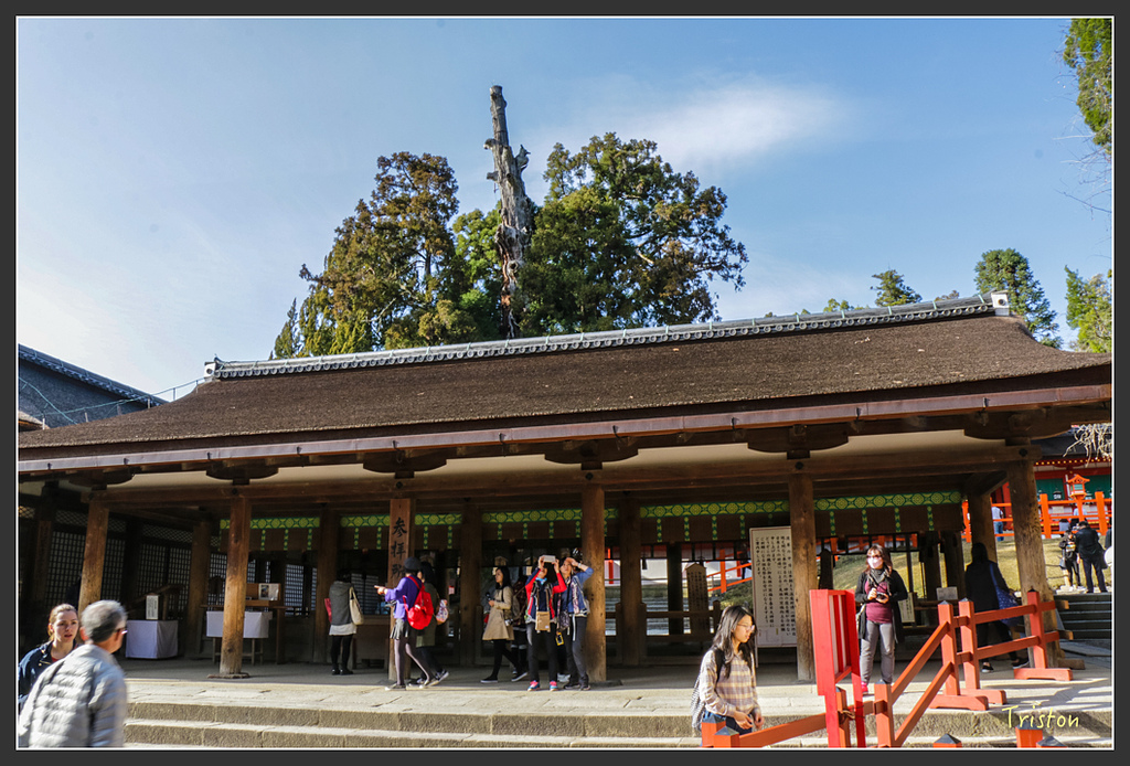 IMG_4065.jpg - 20160323 日本熊野古道健行