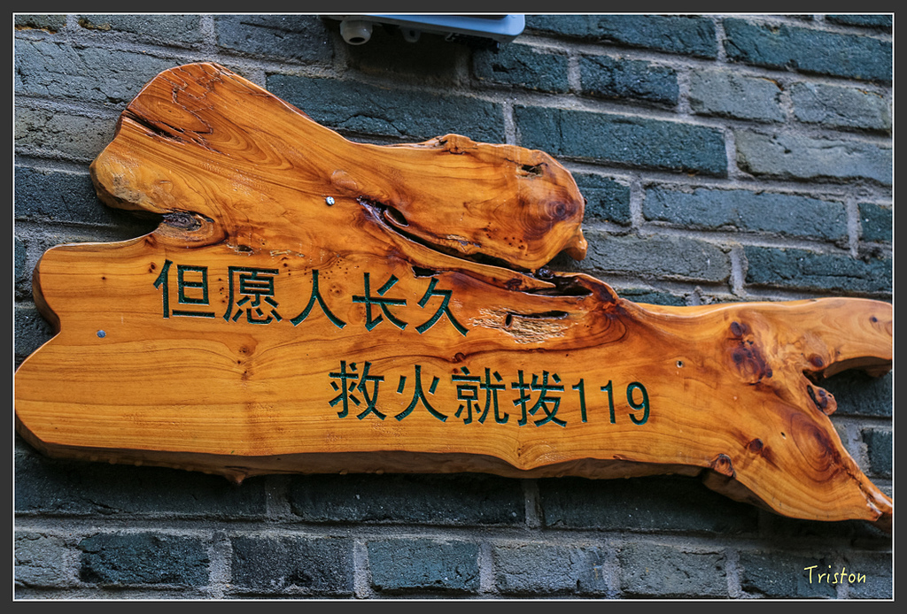 IMG_6643.jpg - 20160409 武夷山之旅