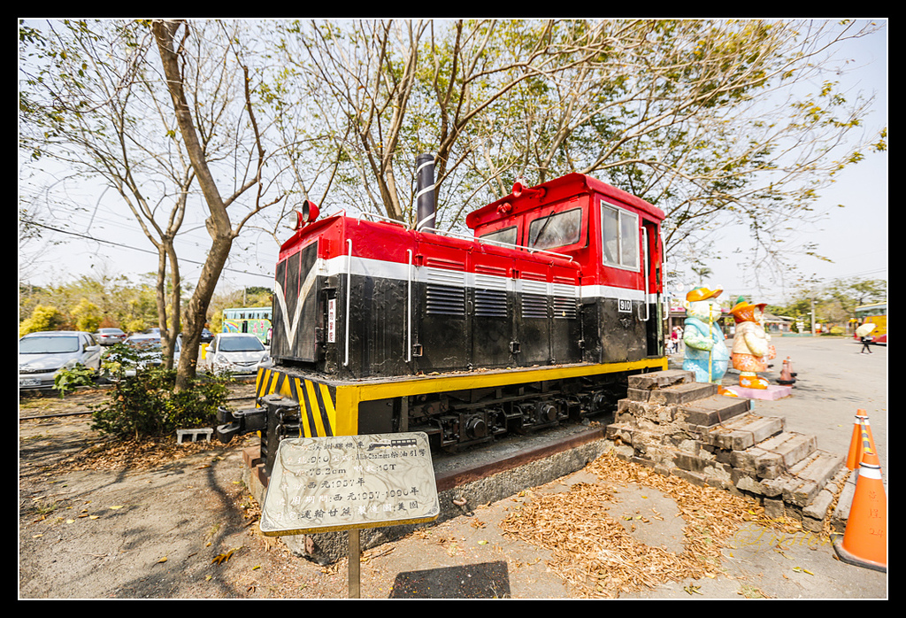 _H1A3150.jpg - 20170328 嘉義苦楝花隧道