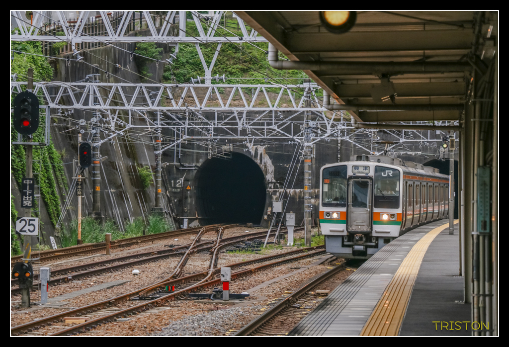 _MG_0939.jpg - 20170702 靜岡東海道之旅