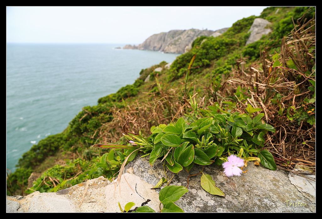 JH1A8471.jpg - 20150814 馬祖之旅