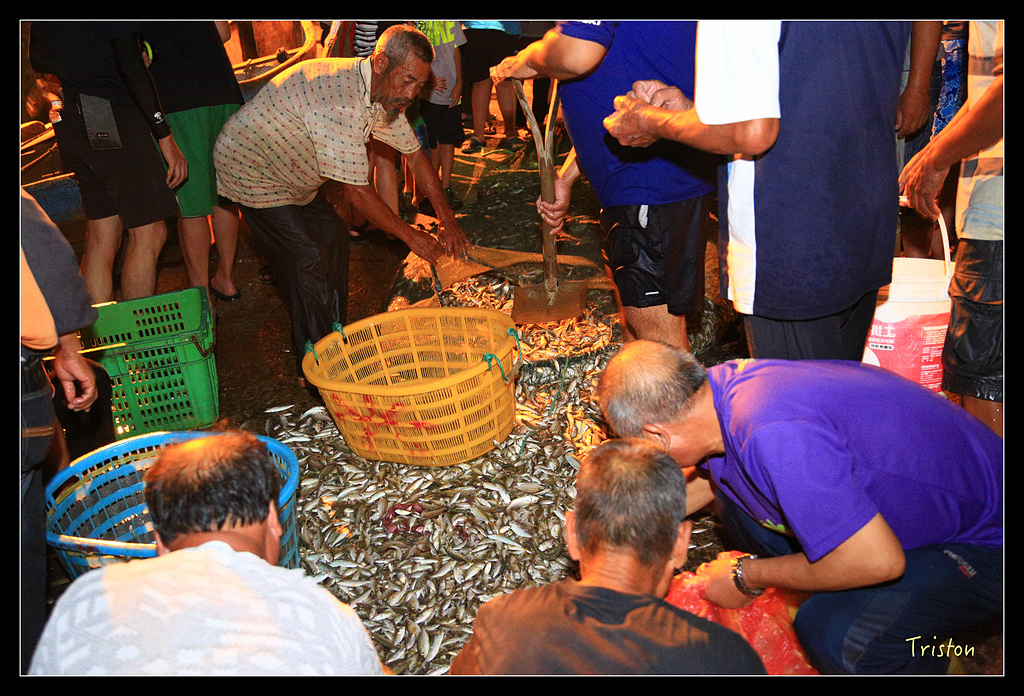 JH1A9081.jpg - 20150814 馬祖之旅