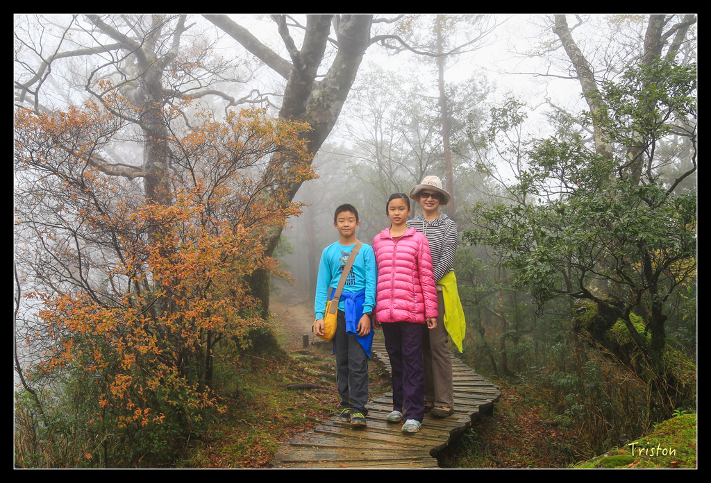 JH1A0217.jpg - 20151024~25 幾米公園、翠峰湖、翠峰山屋、望洋山步道、山毛櫸步道