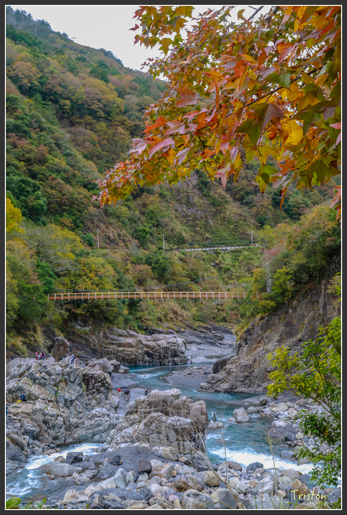 JH1A1234.jpg - 20151221 新竹秀巒賞楓