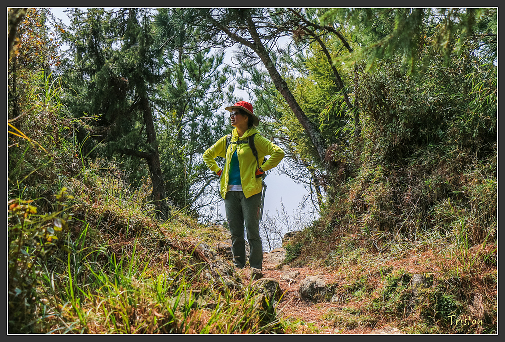 IMG_6242.jpg - 20160402 鹿林麟趾東埔山