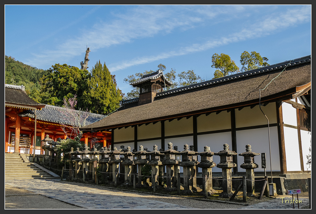 IMG_4103.jpg - 20160323 日本熊野古道健行