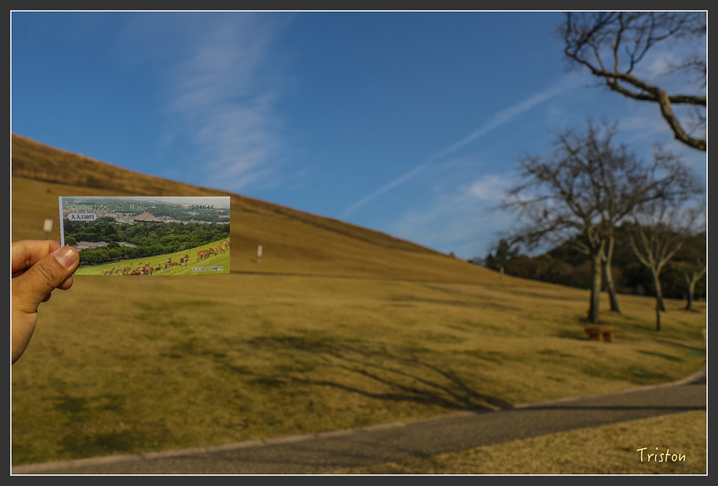 IMG_4138.jpg - 20160323 日本熊野古道健行