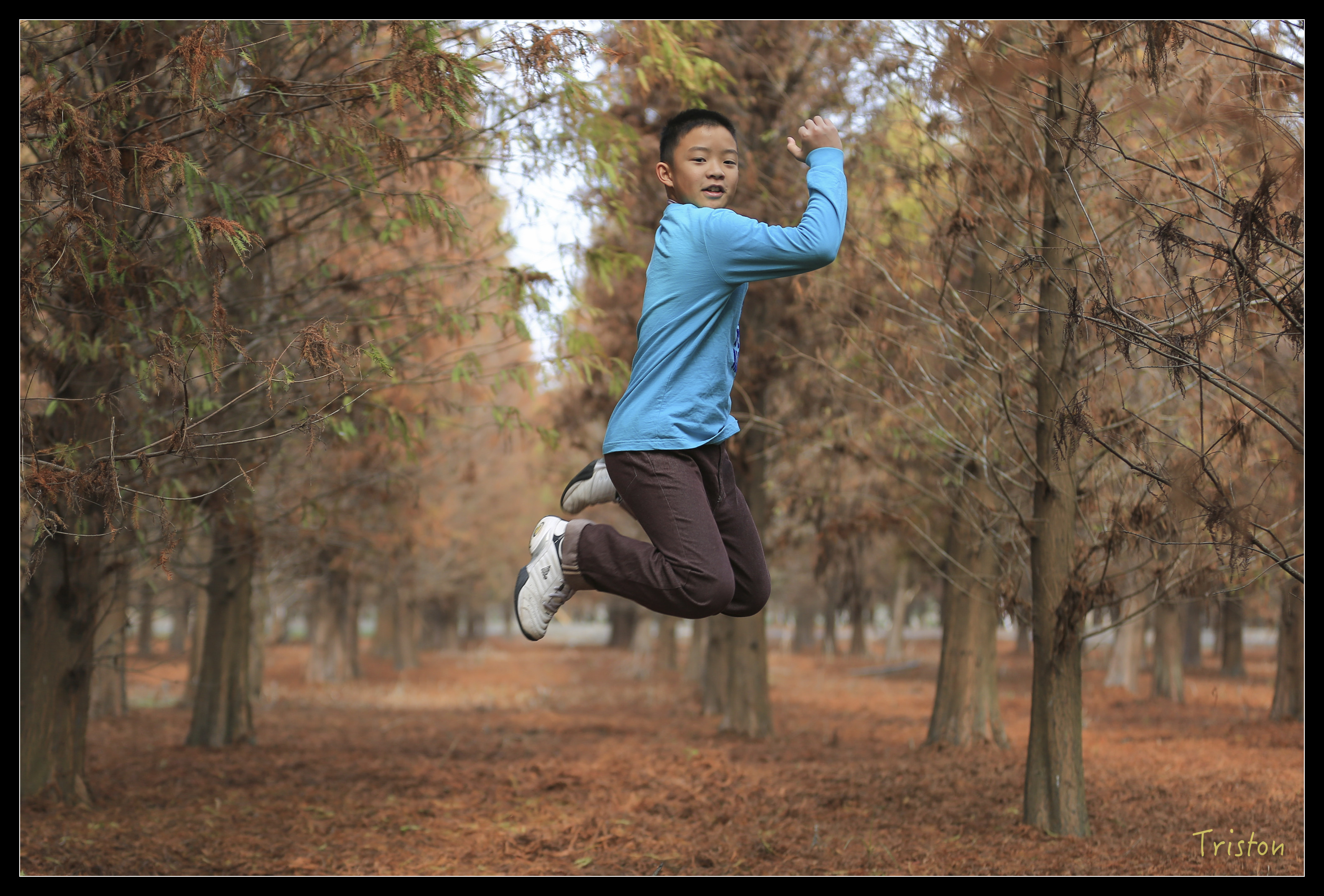 16304446551_0d6002eba7_o (1).jpg - 20160614 器