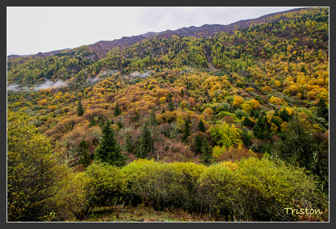 _MG_0897.jpg - 20161013 稻城亞丁