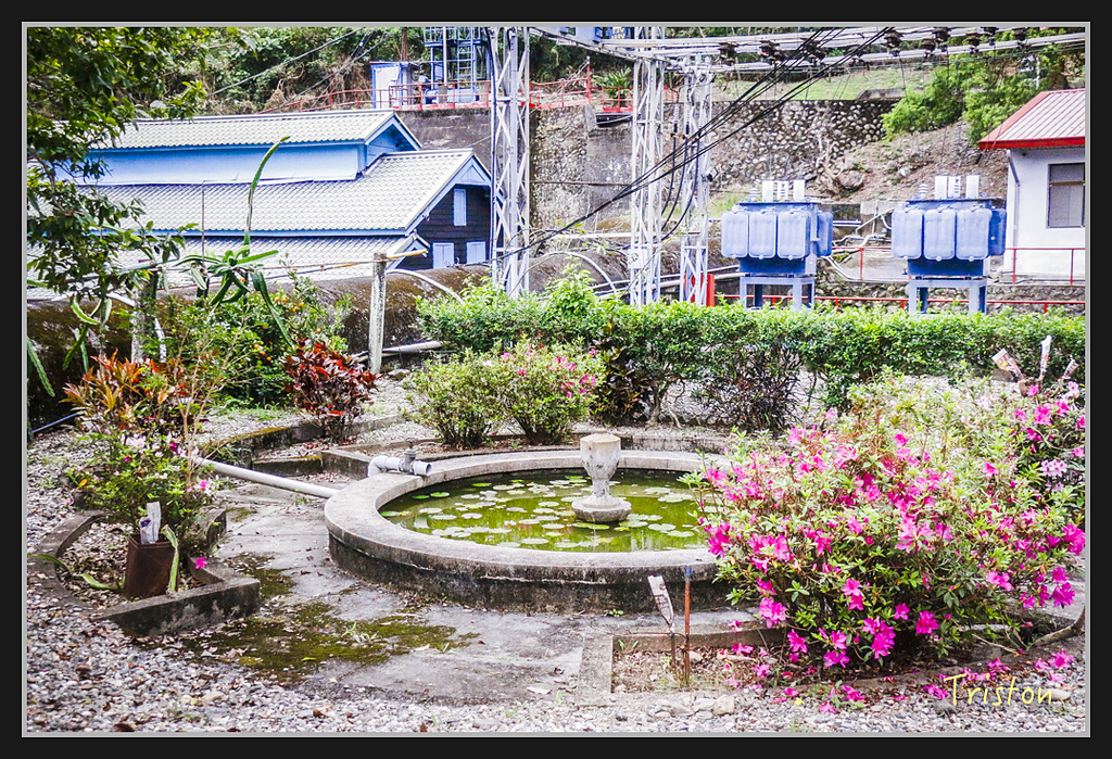 2017-02-27 10.03.54 下午 _MG_0785.jpg - 20170225 玉里瓦拉米