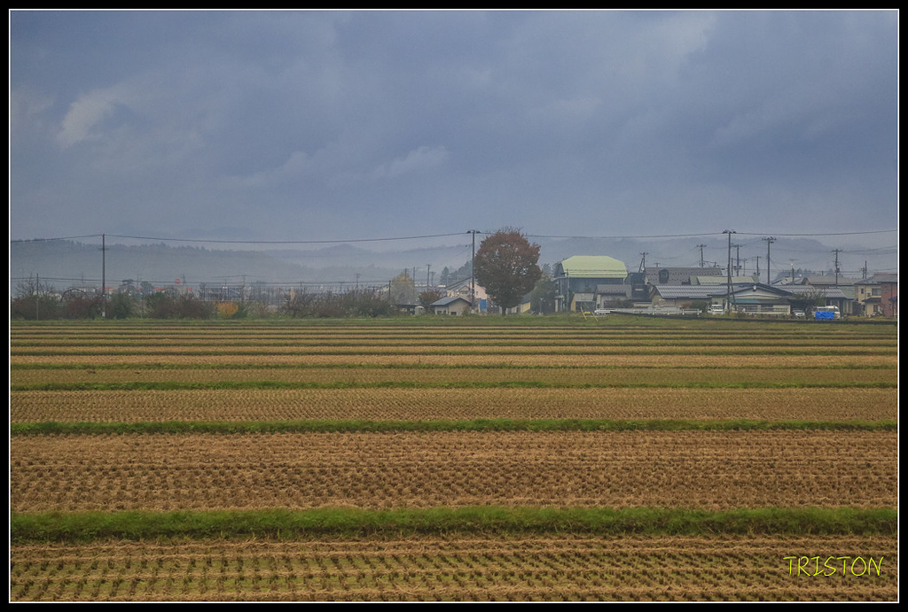 _H1A0251.jpg - 20171103 日本只見線、會津若松五色沼、昭和記念公園賞紅葉