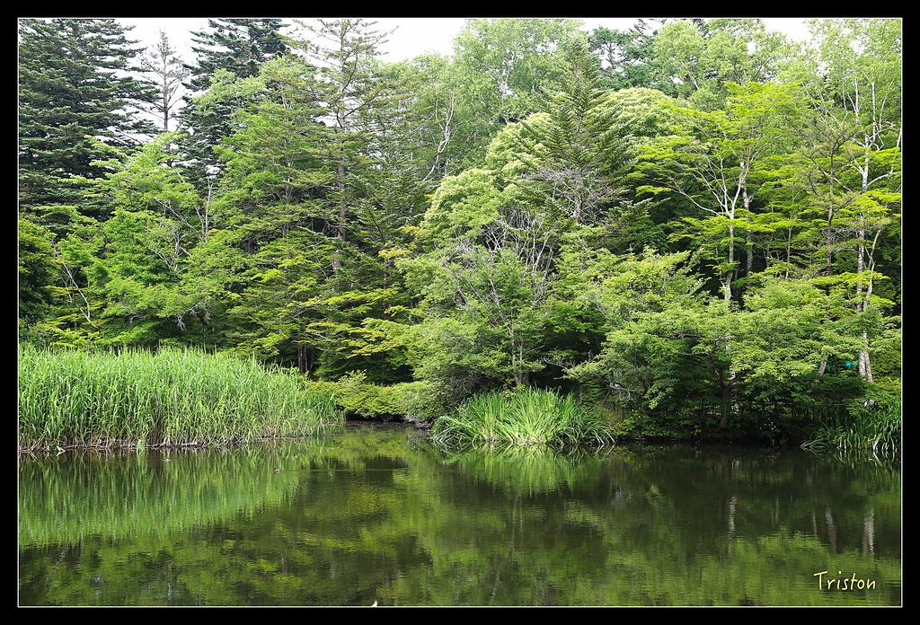 JH1A9488.jpg - 20150628 東京輕井澤日光