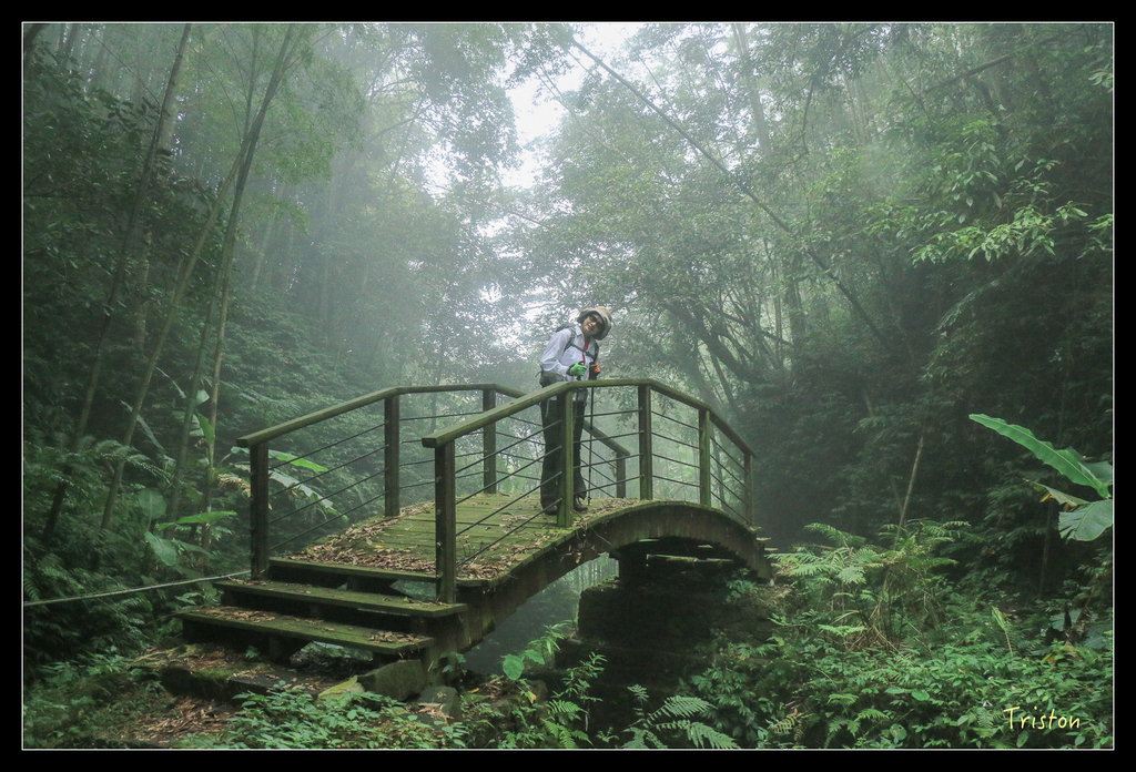 IMG_8474.jpg - 20151012 水社寮,四天王山
