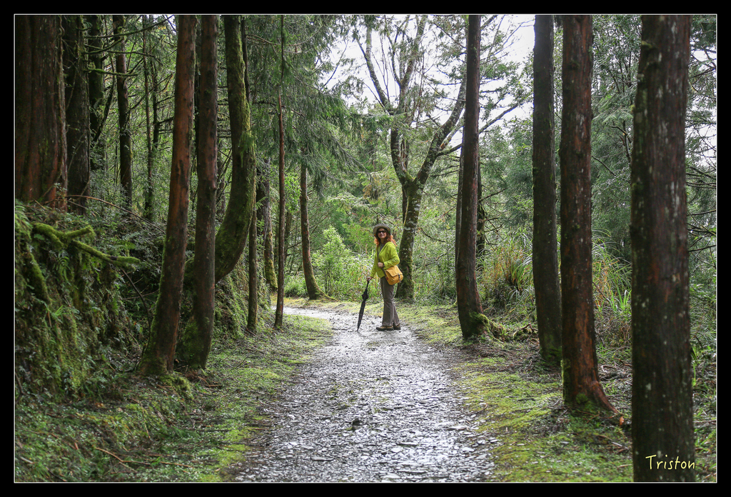 JH1A0130.jpg - 20151024~25 幾米公園、翠峰湖、翠峰山屋、望洋山步道、山毛櫸步道