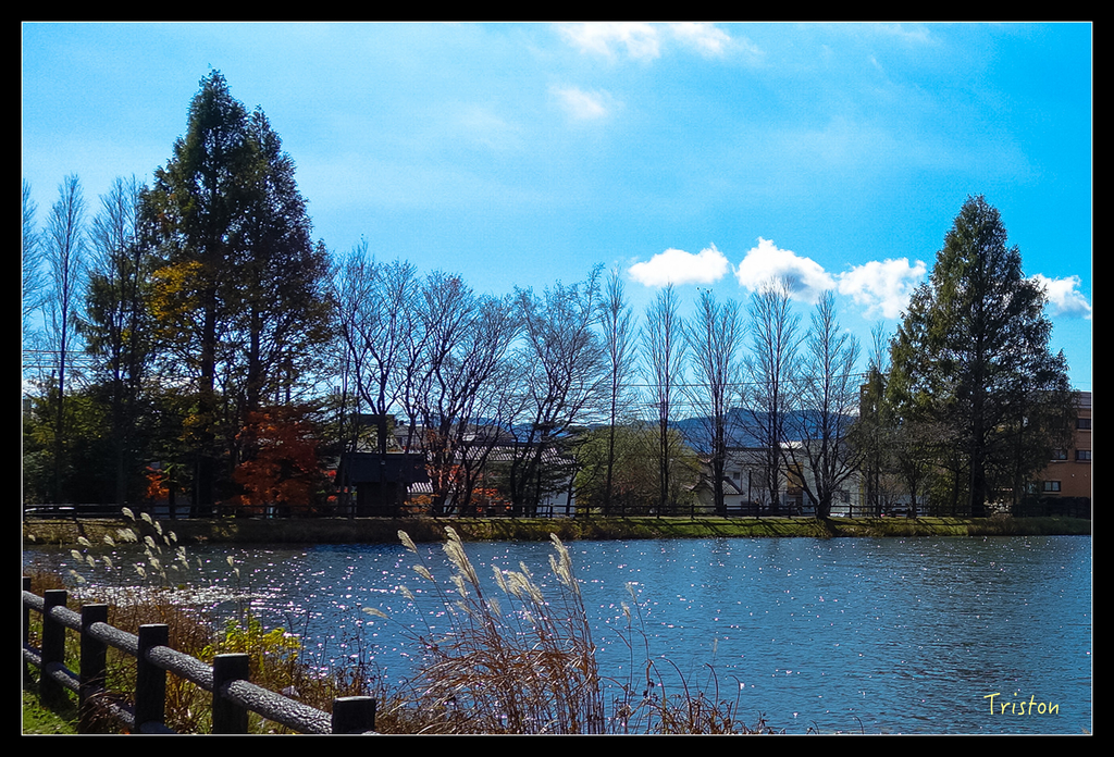 DSC00310.jpg - 20151031 秋天的童話-貴婦東京輕井澤紀行