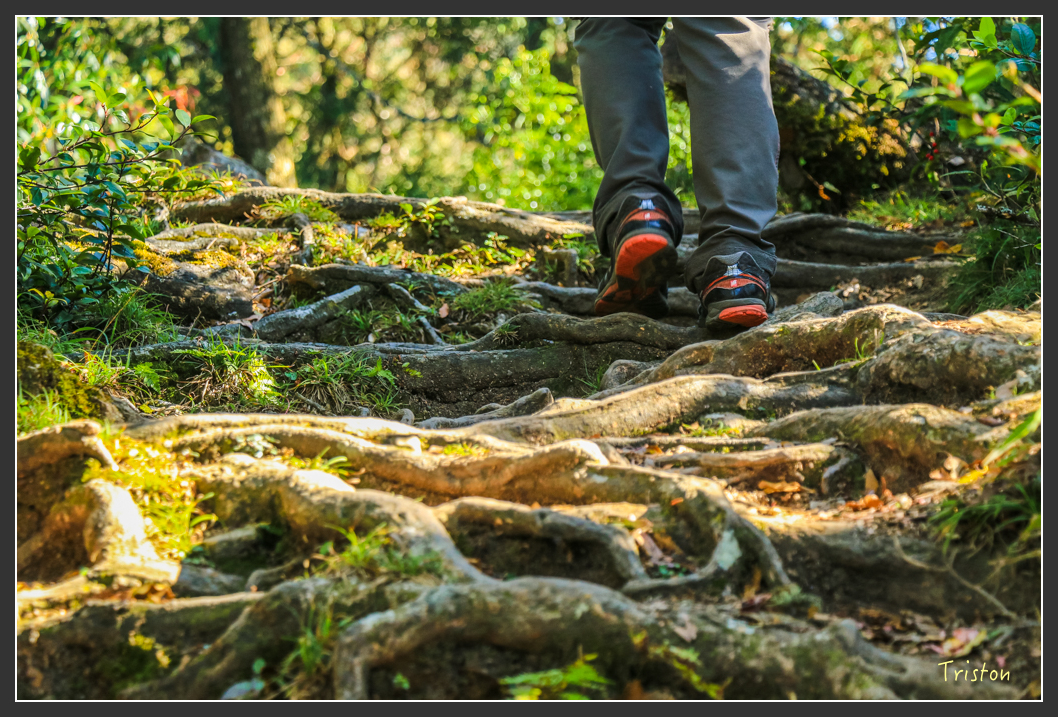 IMG_0627.jpg - 20151219 鳶嘴稍來山、小雪山林道
