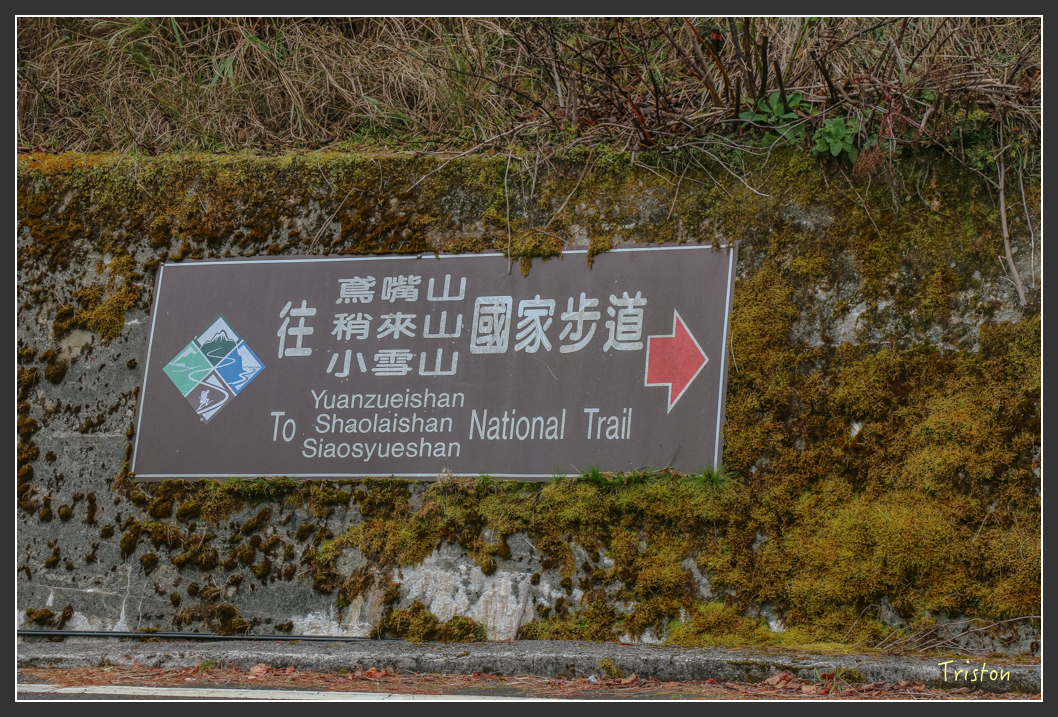 IMG_1047.jpg - 20151219 鳶嘴稍來山、小雪山林道