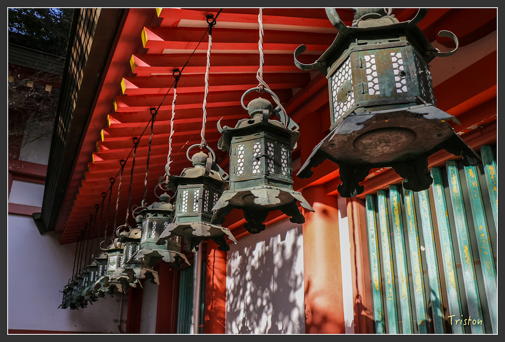 IMG_4108.jpg - 20160323 日本熊野古道健行