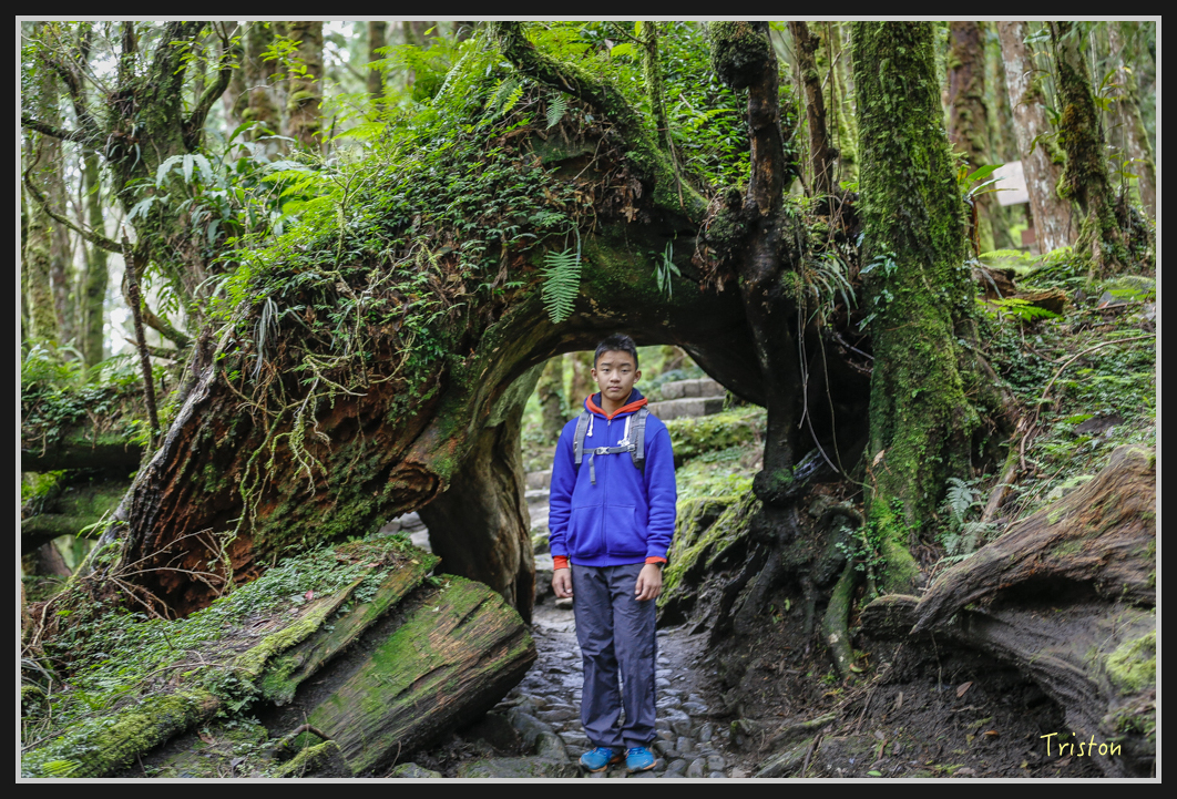 00178.jpg - 20161231 明池 神木園