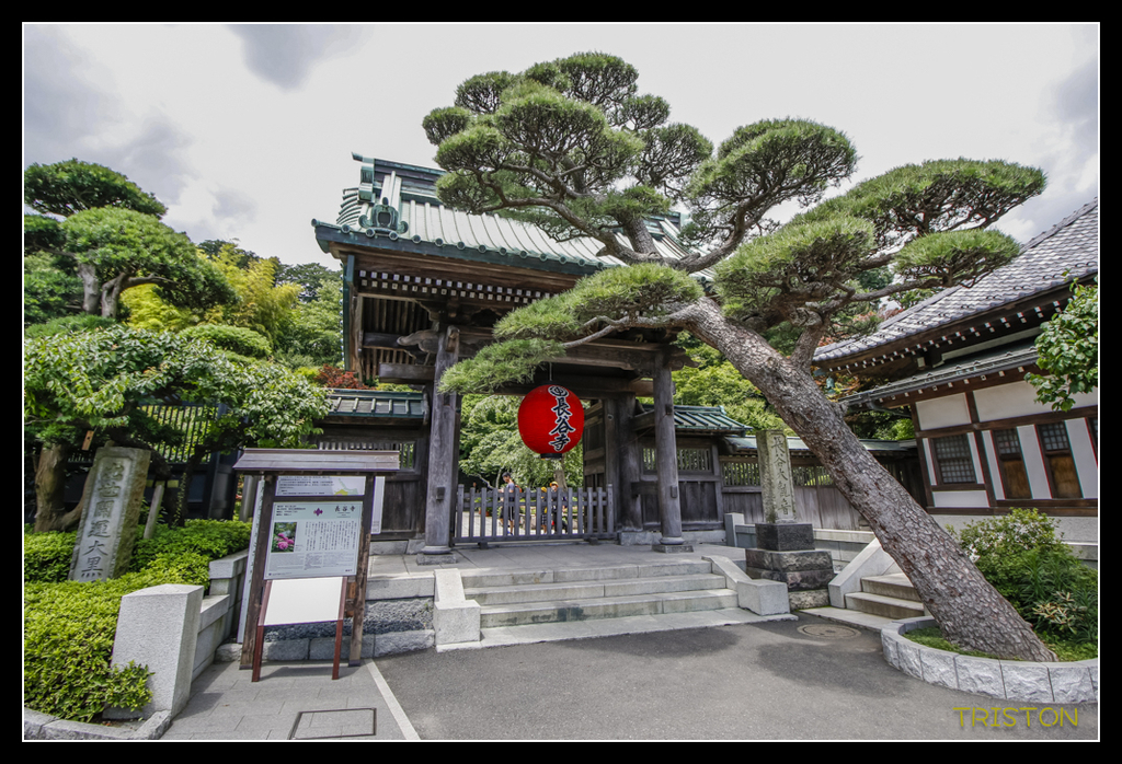 _MG_1441.jpg - 20170702 靜岡東海道之旅