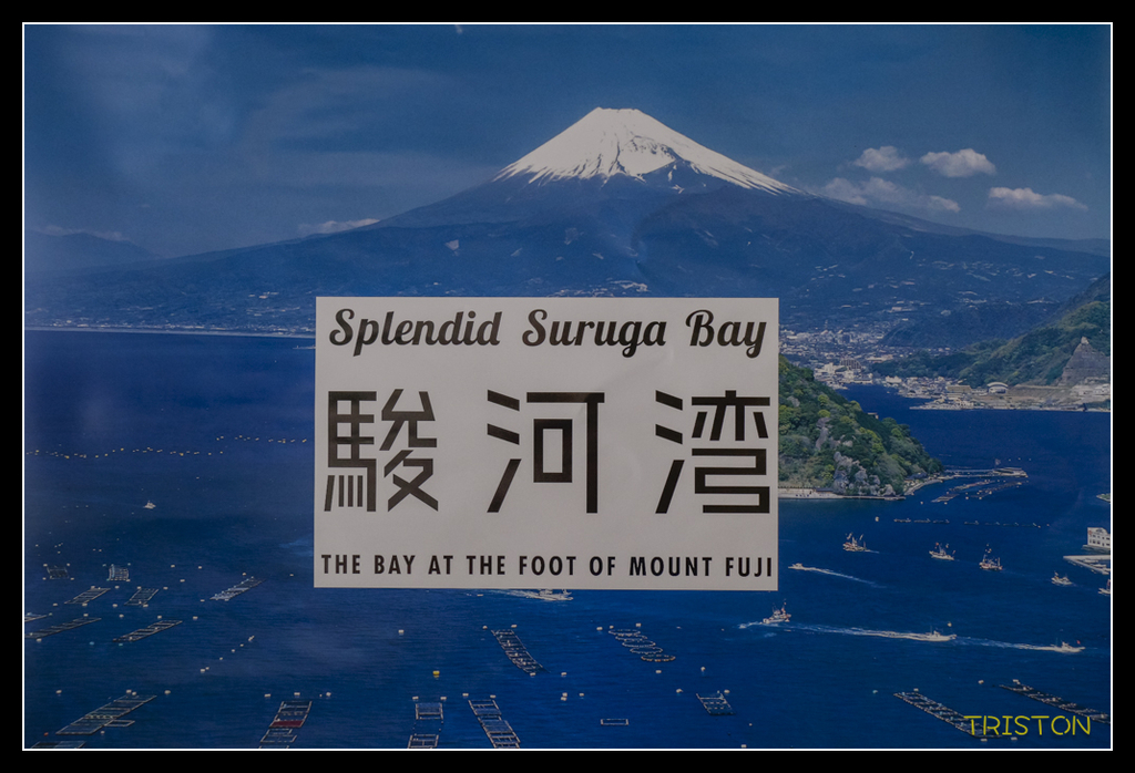 _MG_0960.jpg - 20170702 靜岡東海道之旅