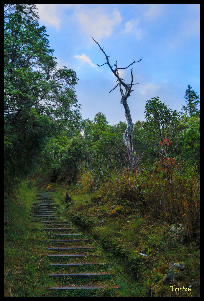 JH1A0045.jpg - 20151024~25 幾米公園、翠峰湖、翠峰山屋、望洋山步道、山毛櫸步道
