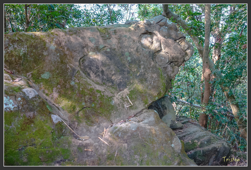 DSC00636.jpg - 20151229 鈺鼎步道