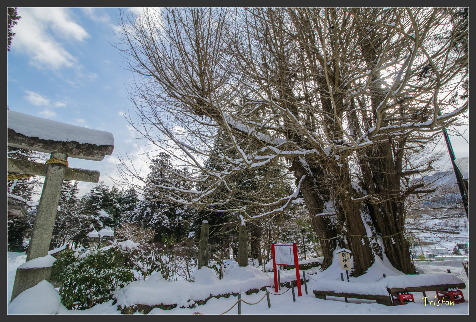 2016ZAO-00646.jpg - 20160131 日本藏王溫泉滑雪親子行