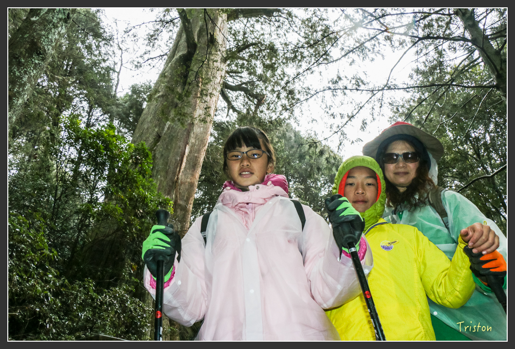 IMG_3274.jpg - 20160227 觀霧森林步道