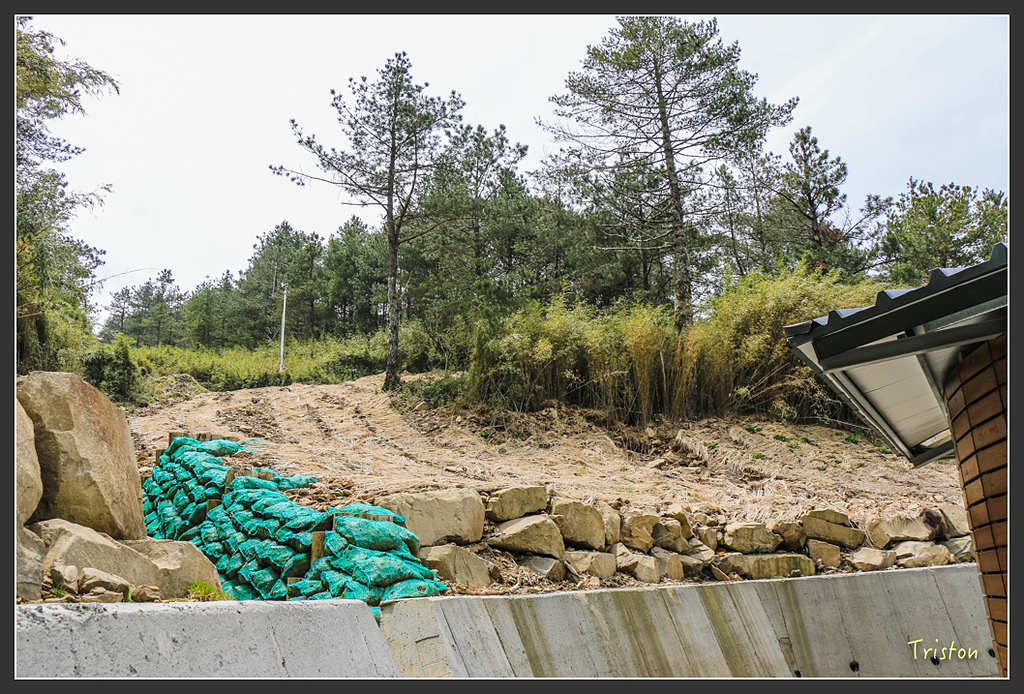IMG_6100.jpg - 20160402 鹿林麟趾東埔山
