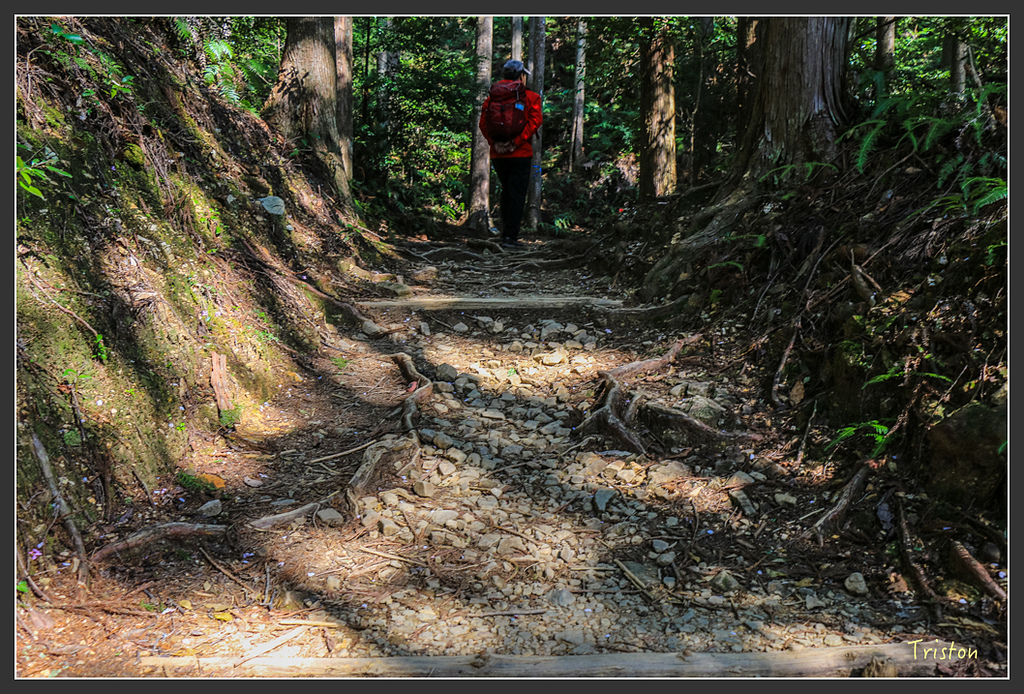 IMG_4847.jpg - 20160323 日本熊野古道健行