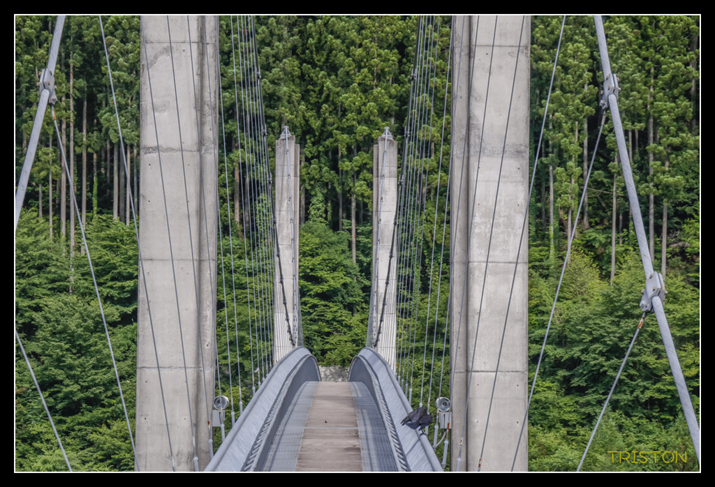 _MG_0619.jpg - 20170702 靜岡東海道之旅