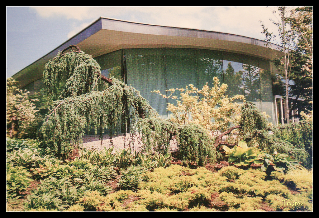 JH1A9603.jpg - 20150628 東京輕井澤日光