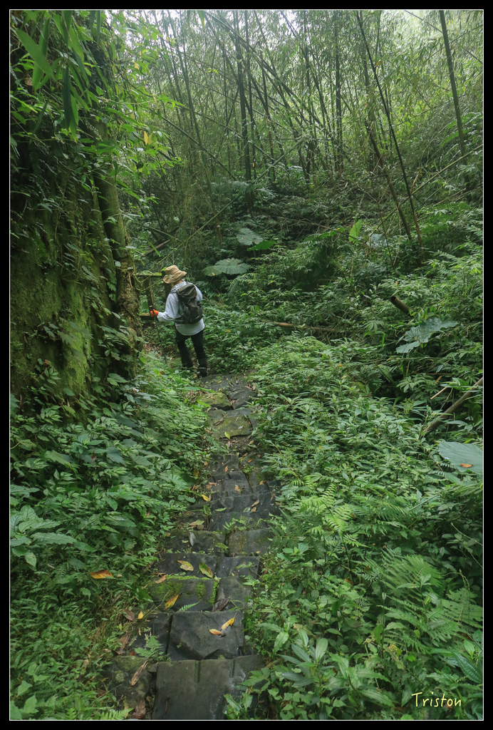 IMG_8477.jpg - 20151012 水社寮,四天王山