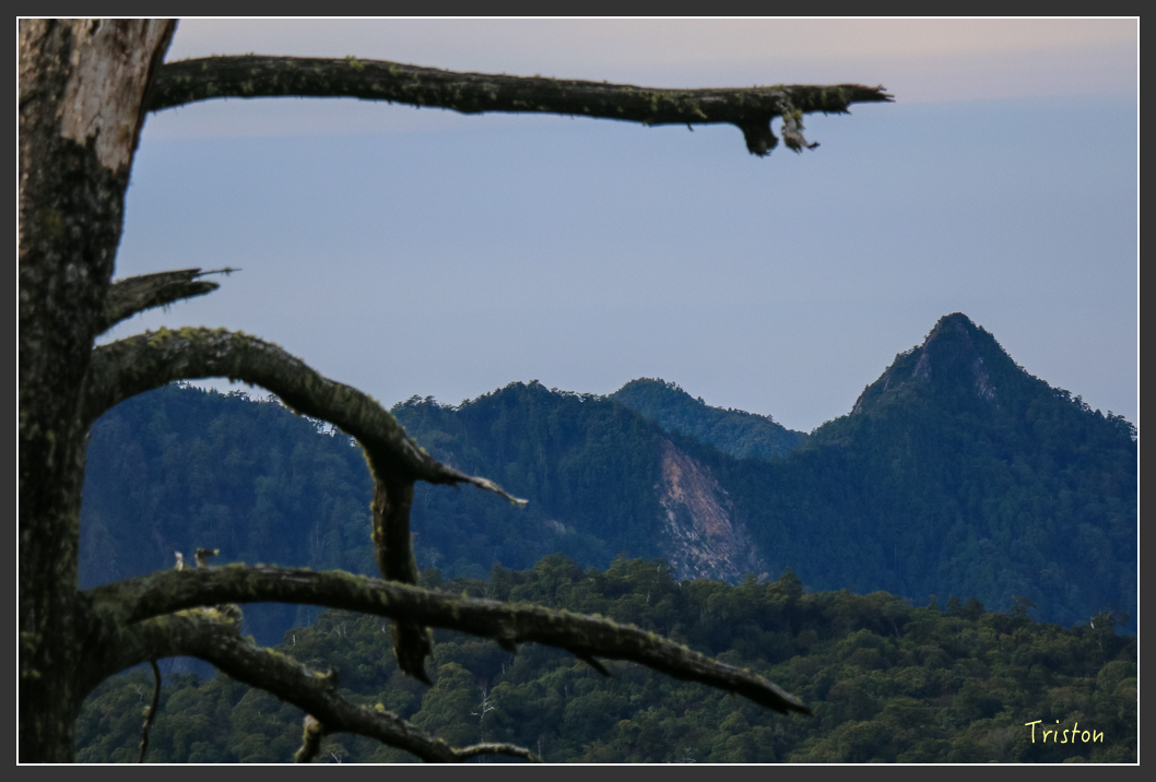 IMG_1072.jpg - 20151219 鳶嘴稍來山、小雪山林道