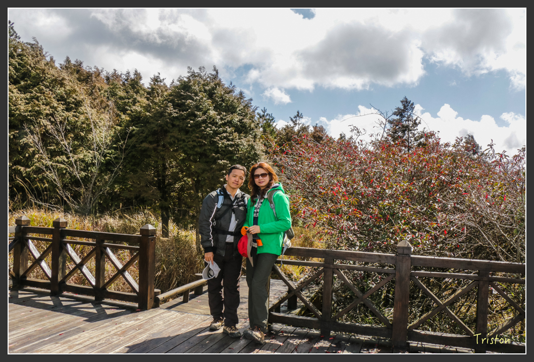 IMG_3386.jpg - 20160227 觀霧森林步道