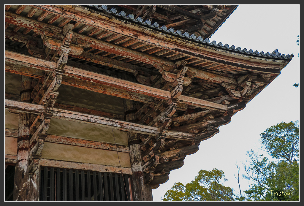 IMG_4321.jpg - 20160323 日本熊野古道健行