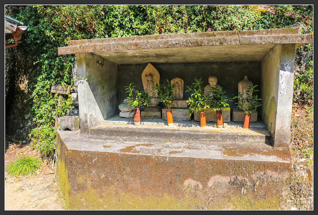 IMG_4824.jpg - 20160323 日本熊野古道健行