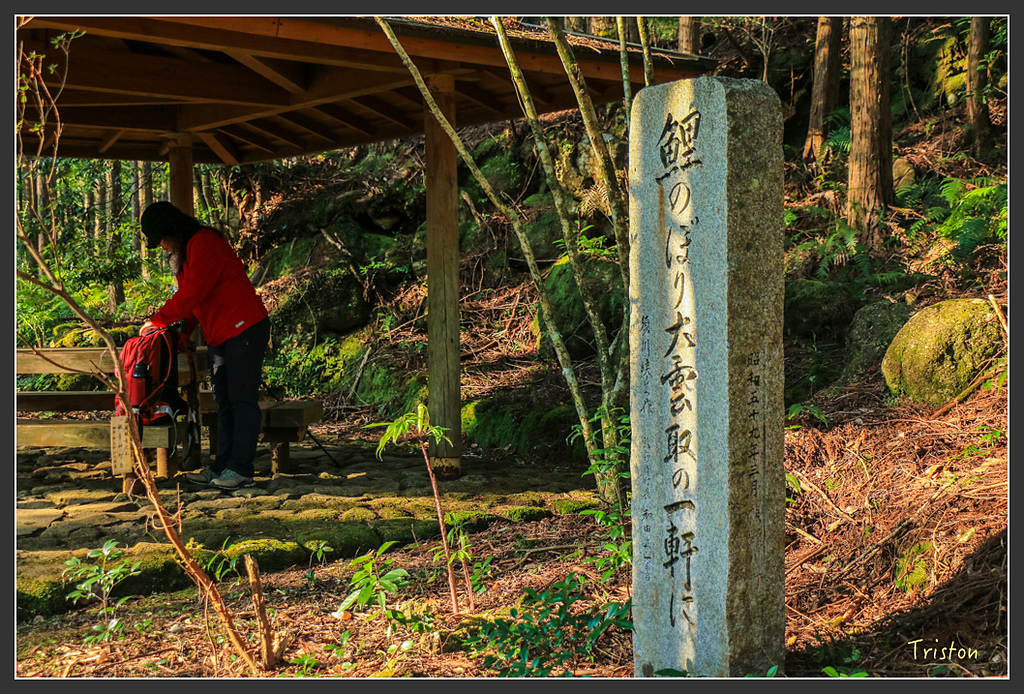 IMG_5351.jpg - 20160323 日本熊野古道健行