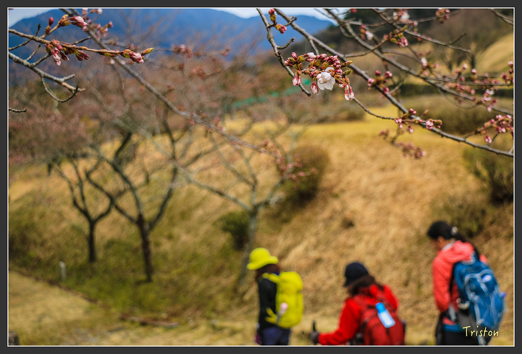 IMG_5606.jpg - 20160323 日本熊野古道健行