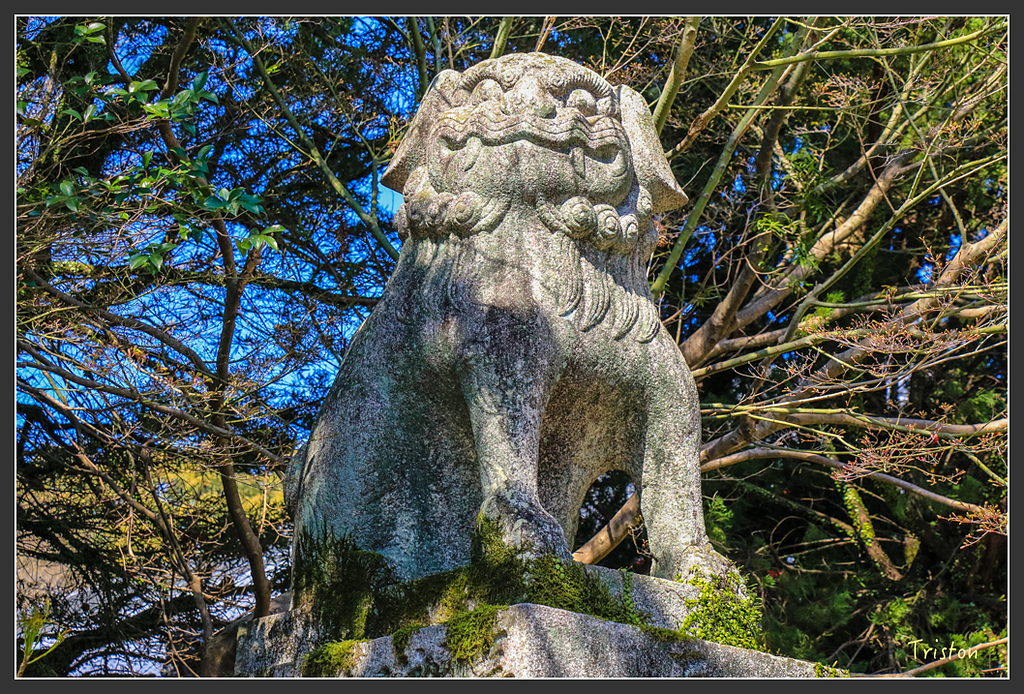 IMG_5840.jpg - 20160323 日本熊野古道健行