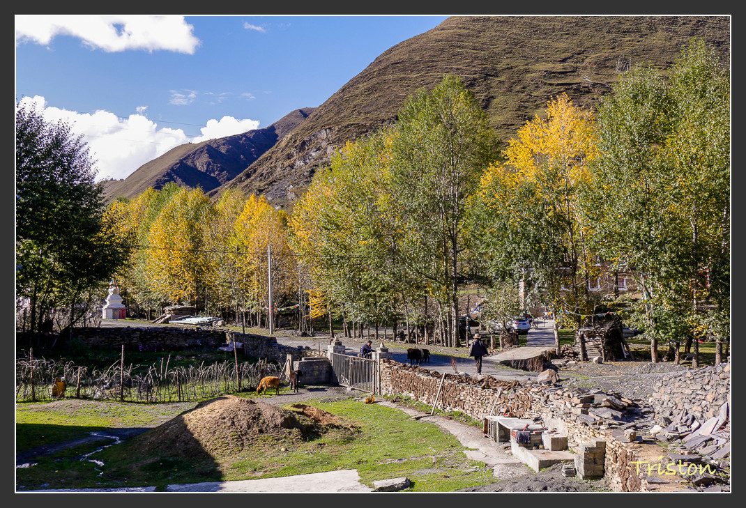 _MG_1313.jpg - 20161013 稻城亞丁