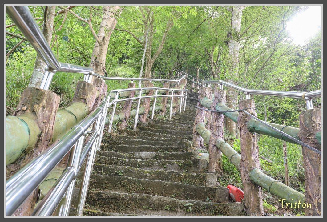 IMG_1984.jpg - 20161130 高雄旗尾山