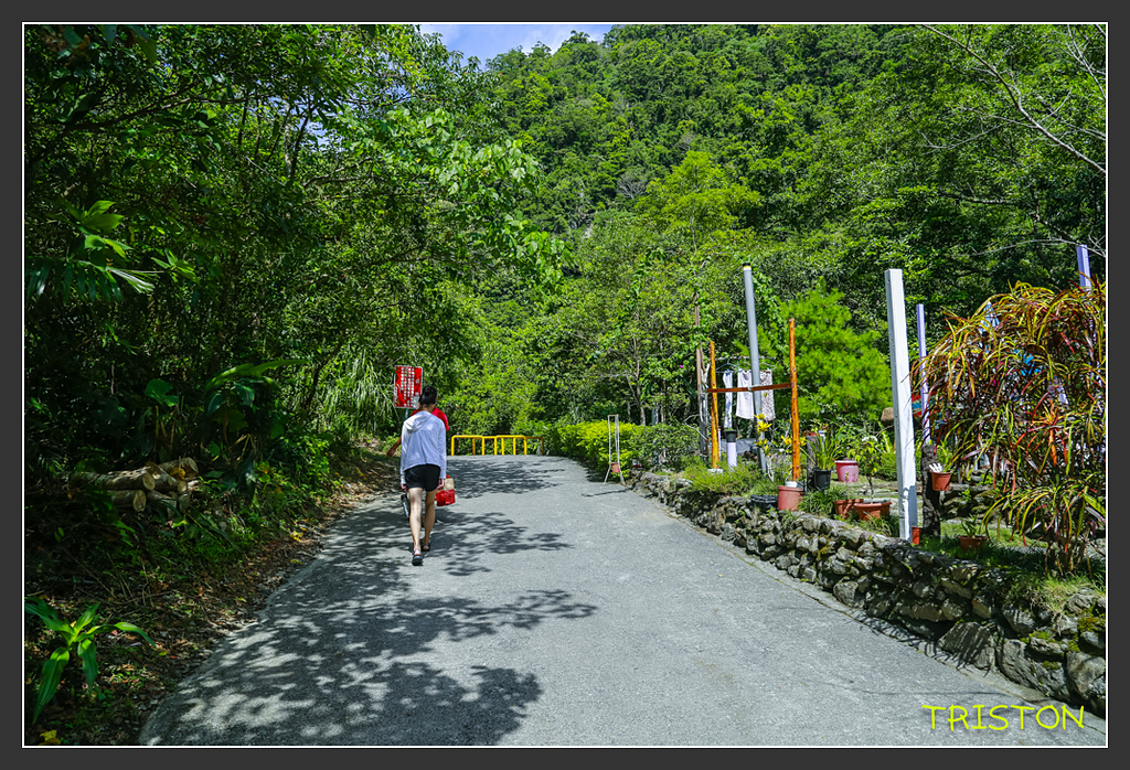 _H1A6052.jpg - 20170901 戀戀台九線