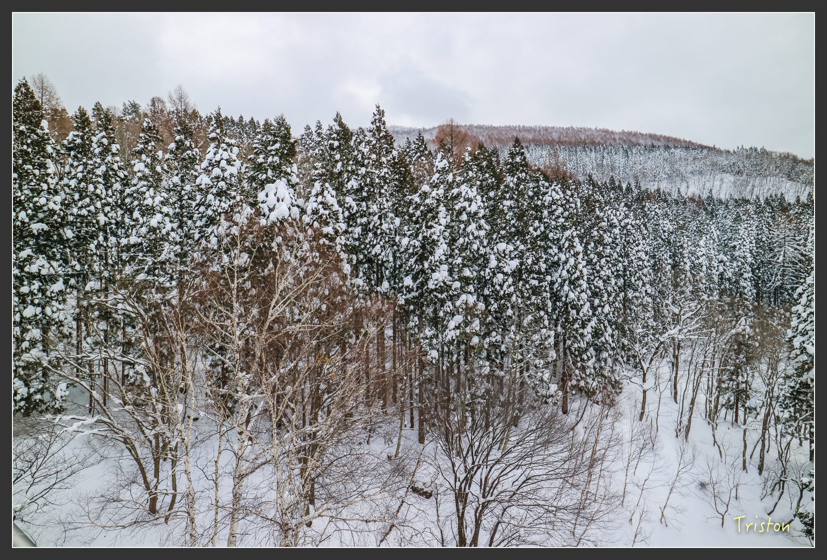 2016ZAO-01838.jpg - 20160131 日本藏王溫泉滑雪親子行